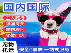 阿鲁科尔沁空运地址国际宠物托运 【国